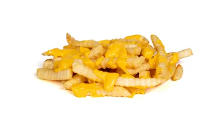 Ray Ray's cheese fries